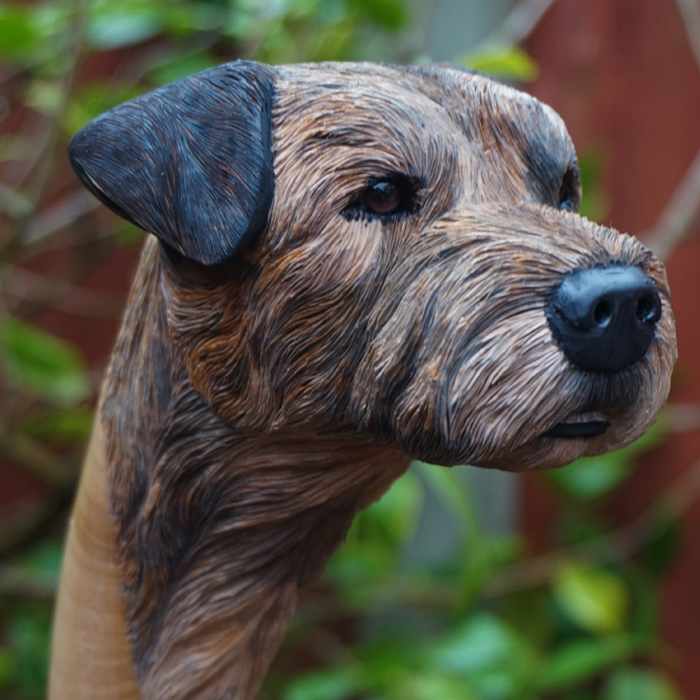 Dog Series